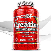 Креатин Amix Nutrition Creatine monohydrate 800 500 mg cps