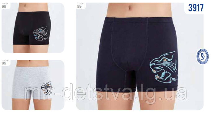 Підліткова білизна для хлопчиків оптом, Туреччина. Боксерки для хлопчиків TM Baykar р.7 (170-176 см)