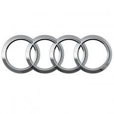 Амортизатор AUDI A6 (C6, 4F, S6, A6L) Avant ПЕРЕДНІЙ