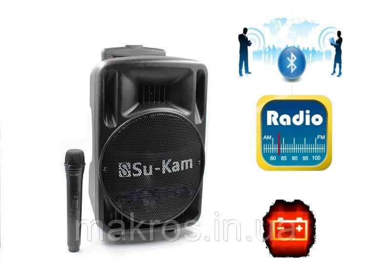 Переносна акустика SU-KAM BT100 USB/FM/Bluetooth, фото 1