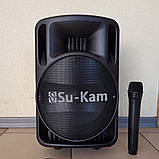 Переносна акустика SU-KAM BT100 USB/FM/Bluetooth, фото 2