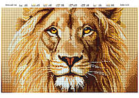 Схема для повної вишивки бісером "Великий лев"