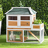 Курятник Енріке, фото 4