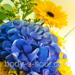 COUNTRY GARDEN №215, косметичний ароматизатор для мила, свічок, косметики ручної роботи, США, ваніль 0,9%