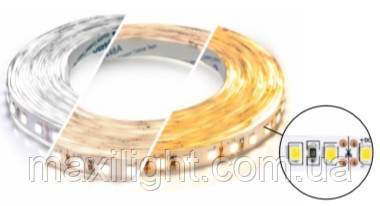 LED стрічка 12V BIOM Professional Generation 3 (smd 2835) 120LEDs/м IP20 холодний білий (7500-8000K), фото 1