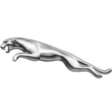 Пневмоподушках або пневмобаллон JAGUAR XJ SERIES ПЕРЕДНЯ ЛІВА