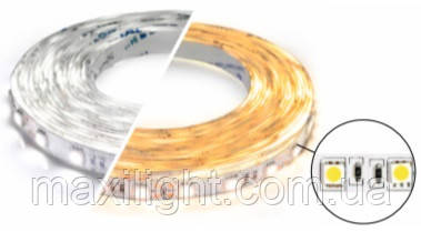 LED стрічка 12V BIOM Professional Generation 3 (smd 5050) 60LEDs/м IP20 холодний білий (6000-6500K), фото 1