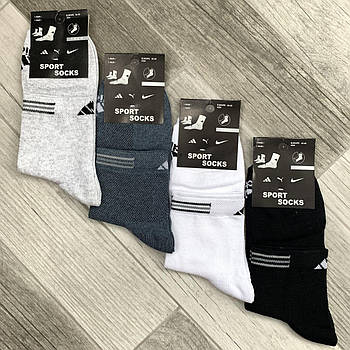 Шкарпетки чоловічі спортивні х/б з сіткою Adidas, Sport Socks, 41-44 розмір, середні, асорті, 12633