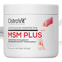 Сірка OstroVit MSM Plus 300 gr