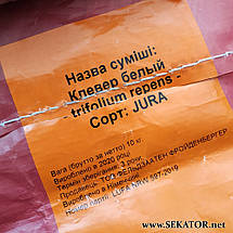 Конюшина біла низькоросла, повзуча (Weißklee) "JURА", 1 кг (Німеччина), фото 3