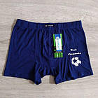 Чоловічі труси боксери бамбук М'яч Польща Сексуальна чоловіча білизна, фото 3