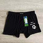 Чоловічі труси боксери бамбук М'яч Польща Сексуальна чоловіча білизна, фото 2