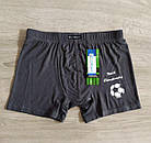 Чоловічі труси боксери бамбук М'яч Польща Сексуальна чоловіча білизна, фото 4