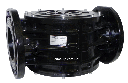 Фільтр газовий Madas для біогазу, фото 1