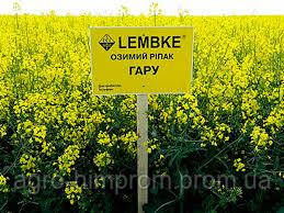 Ріпак озимий Гару НВЦ Лембке / NPZ Lembke Німеччина, Среднепозний