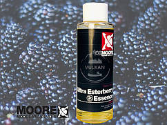 Ліквід CC Moore Ultra Esterberry Essence 100ml (ожина)