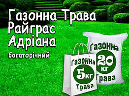 Насіння Газонна трава Райграс Олександра, 1 кг (на розвіс)