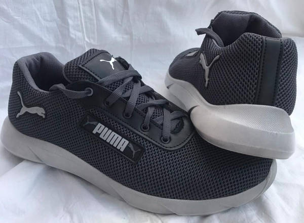 Puma 43 2025