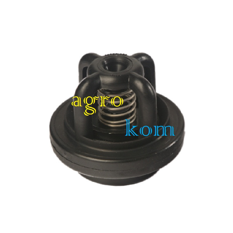 Клапан насосаобприскувача P-100 | AP20ZP, 221209 AGROPLAST, фото 1