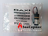 Пристрій розпалювання з кабелем на котел Baxi ECO/LUNA, Westen Energy/Star 5653930, фото 7