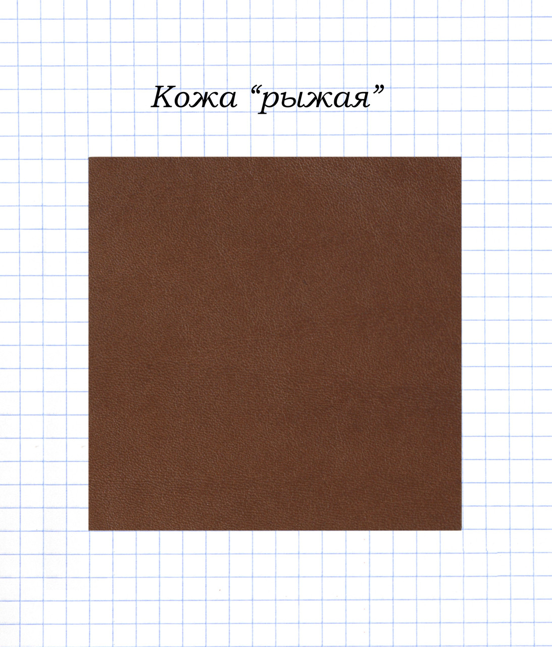Шкіра "Руда"