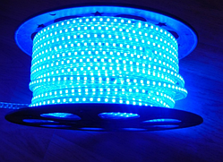 Світлодіодна стрічка 120Led/m 2835 220 В 12 W/m AVT IP65 синя