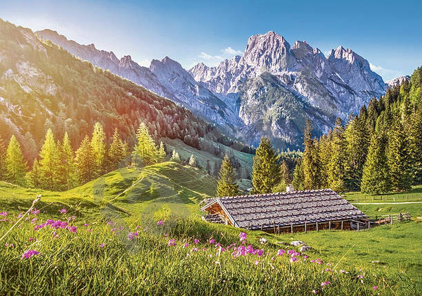 Пазли Літо в Альпах на 500 елементів, фото 1