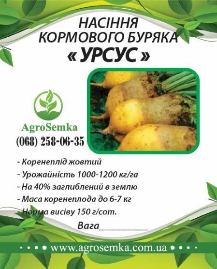 Насіння буряка кормового "Урсус" ( Україна ) / 1кг