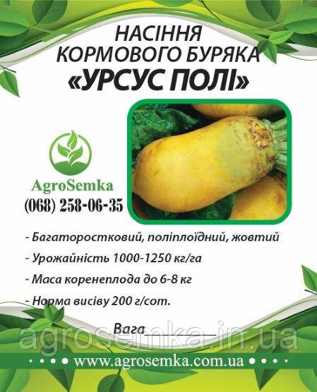 Буряк кормовий жовтий "Урсус Полі" (Польща) насіння / 1кг