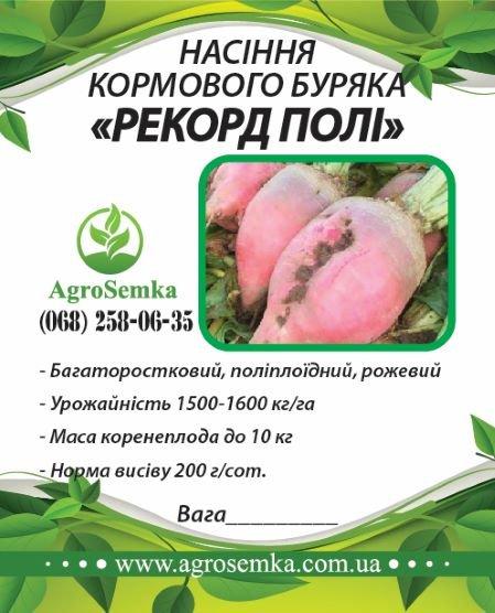 Насіння буряка кормового "Рекорд Полі" (Польща) / 1кг