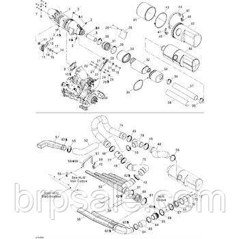 Вихлопної шланг Sea-Doo BRP Hose-exhaust