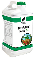 Удобрение Басфолиар Келп СЛ, (Basfoliar Kelp SL) COMPO EXPERT, 10 л.