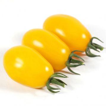 KS 3690 F1 1000 шт Kitano Seeds Томат Детермінантний Насіння (Томат Детермінантний Насіння)