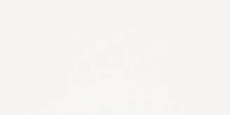 Paradyz Synergy Bianco 30х60
