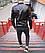 Бомбер чорний шкіряний чоловічий | Шкіряна куртка RM 11229, фото 3