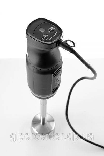 Блендер заглибний, фото 1