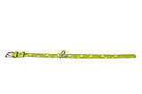 Нашийник Collar Glamour з візерунком Зірочка Світний XS 27-36 см, 15 мм, фото 3