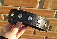 Кожаный ошейник для собаки "Lockdog" с заклёпками XL, Гигантские