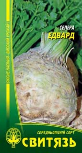 Насіння Селереї Едвард Корневий 0.2 г, фото 1