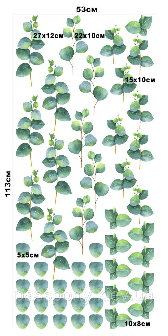 Вінілові наклейки на стіну Евкаліпт