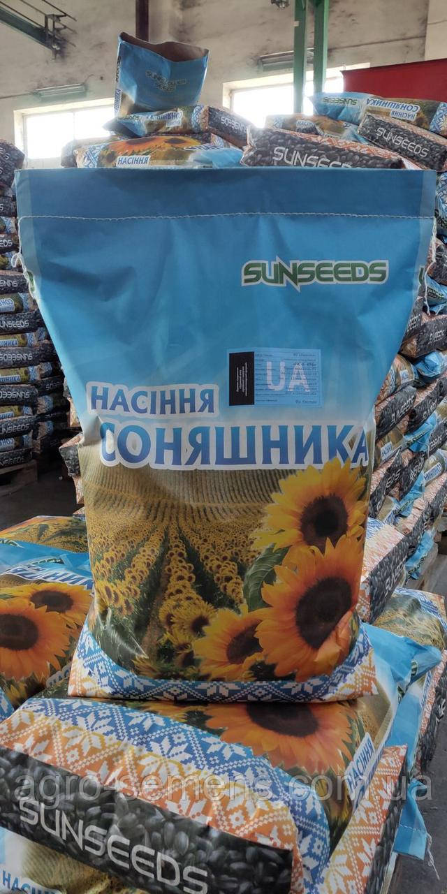 НС Х 496 насіння соняшника під Гранстар