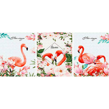 Картина по номер. на холсті наб 3шттриптих 40*50см Никитошка PX5279 Фламінго