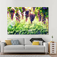 Модульная картина IDEAPRINT "Гроздьи винограда".