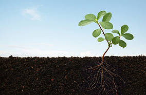 Покращувач ґрунту Simbiosoil Plus 1 кг, фото 5