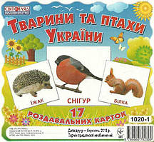 Тварини та птахи України (17 одностор. карток)