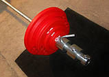 Фарбування спортивних тренажерів млинців гирі гантелі штанг турніків порошковою фарбою, фото 3