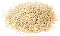 Кунжут білий