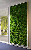 Стена из стабилизированного кочкового мха, вертикальное озеленение мхом, панели из мха, панно из мха