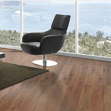 Classen Explore Palmeira 4V 8мм ламінат 32 клас