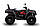 Квадроцикл GEON TACTIC 550 EFI EPS, фото 4